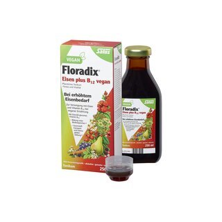 Salus Floradix Eisen + B12 Bio-Tonikum 250ml