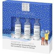Dr. Grandel Wirkstoff Ampullen Winter Wellness 3x3ml